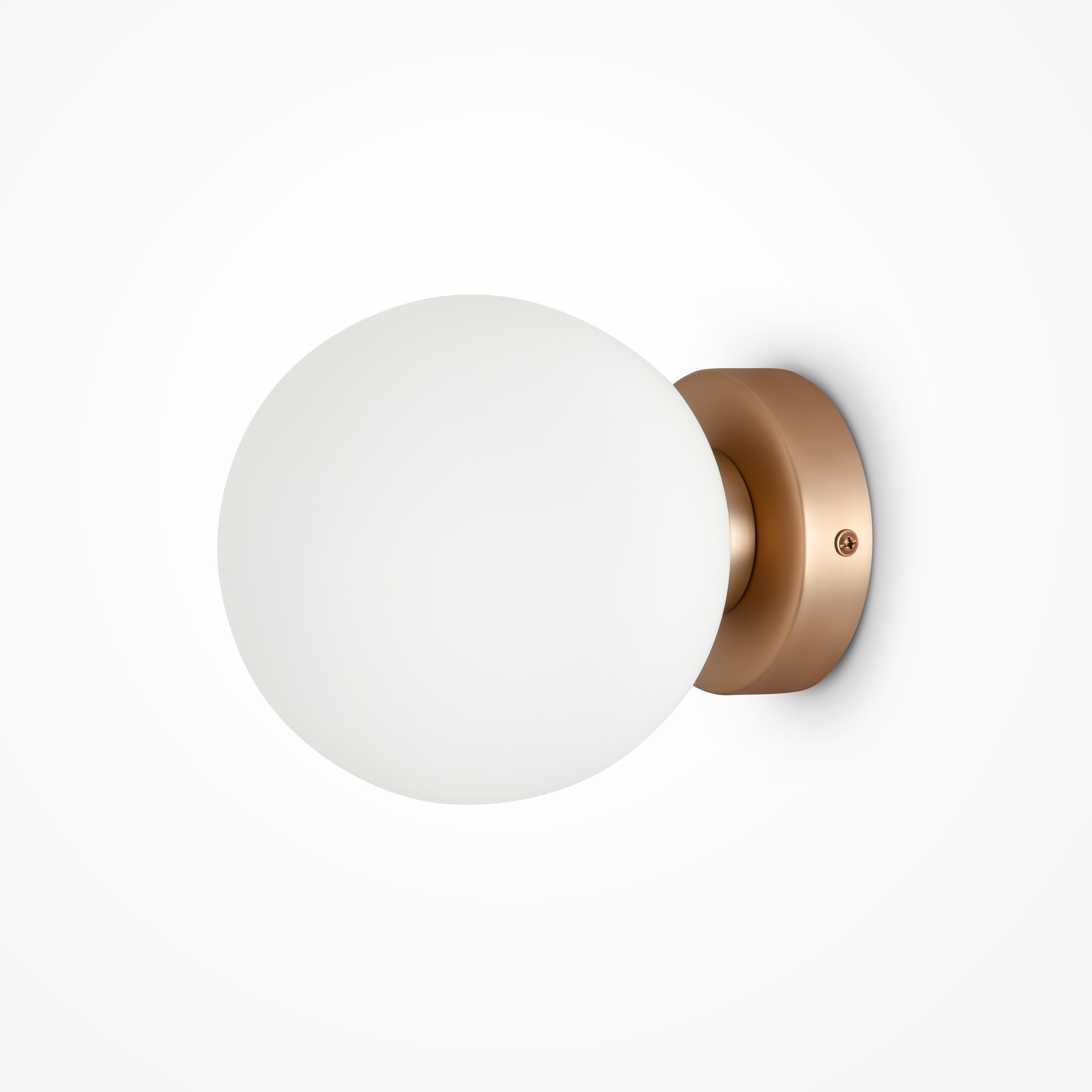 _standard standard 181