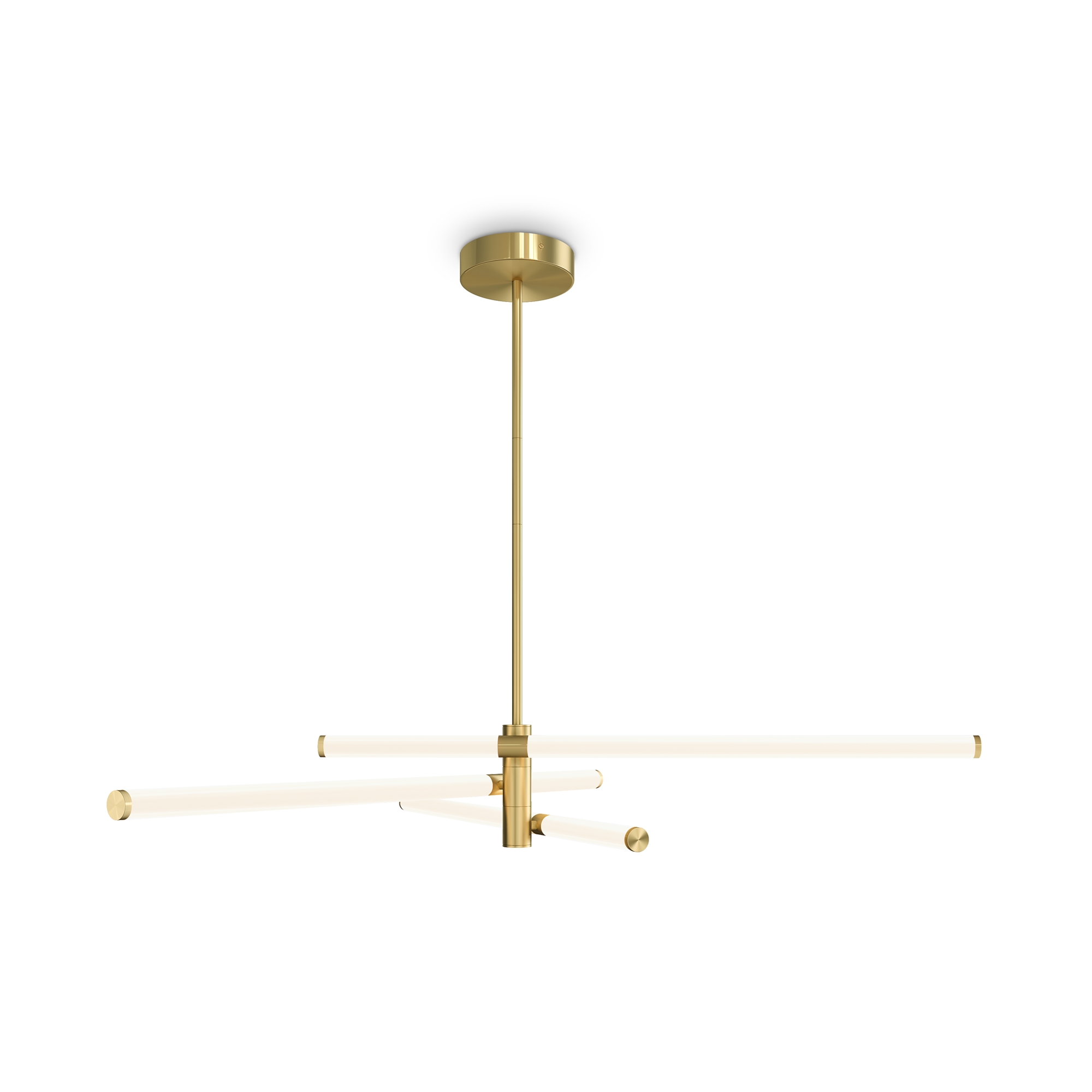 _standard standard 896