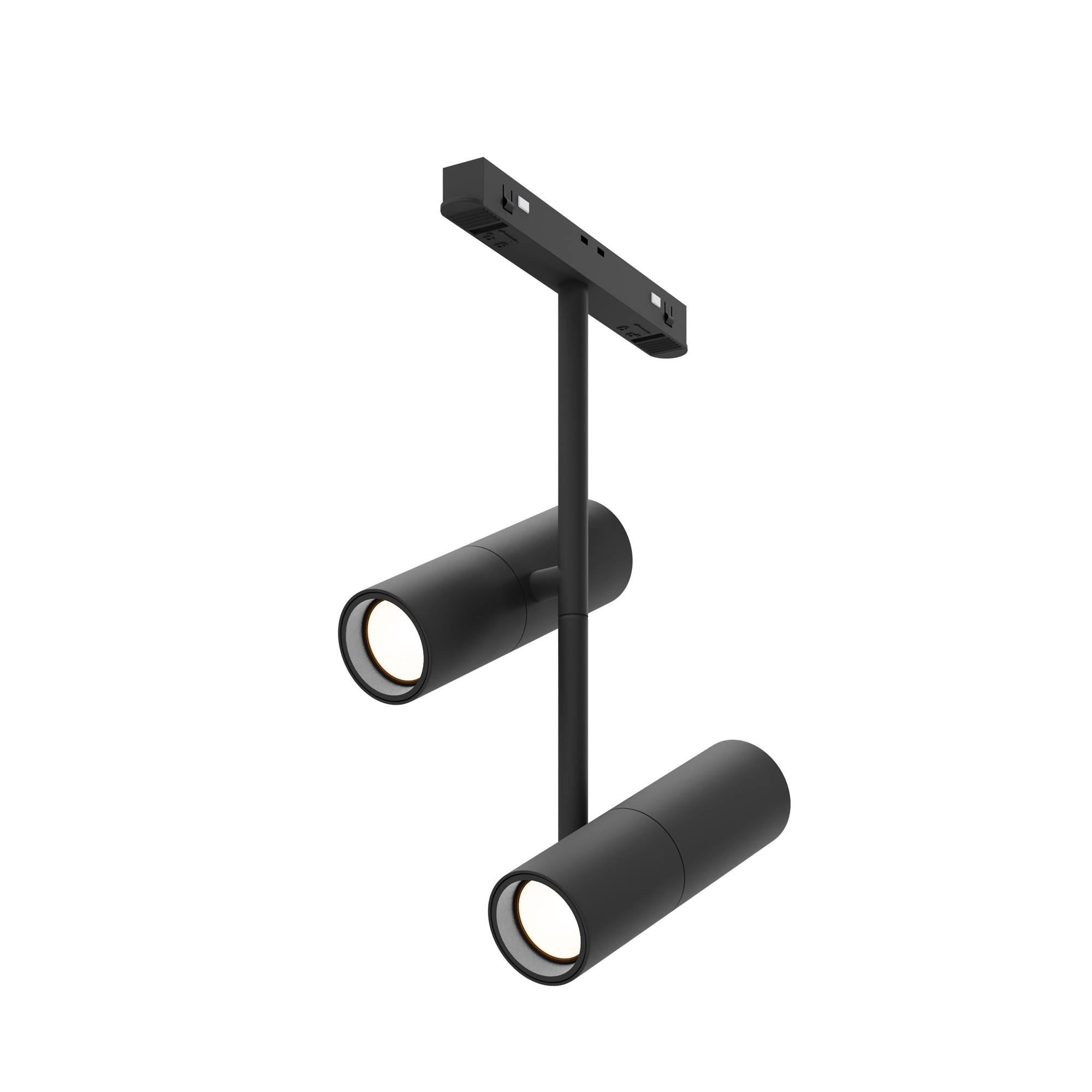 RENDER_TR005-2-2X12W3K-B_on_w_standard RENDER TR005 2 2X12W3K B on w standard