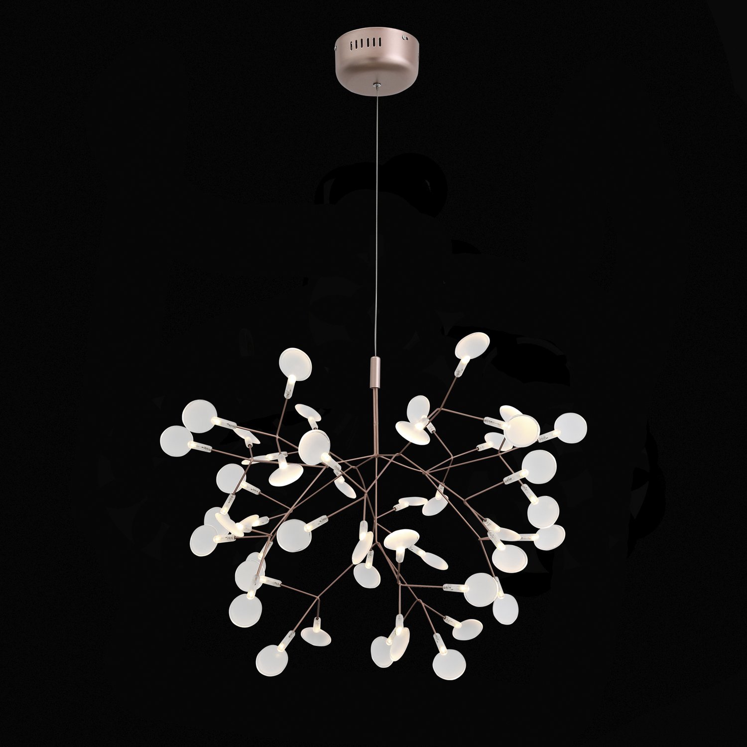 SL379.203.45_01B SL379.203.45 01B