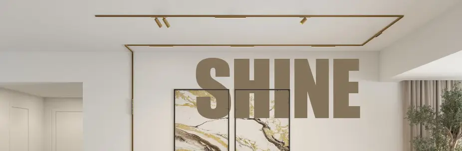 SHINE WEB